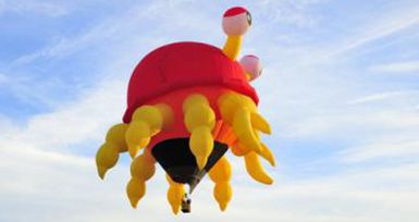 螃蟹热气球定制8-12万小型