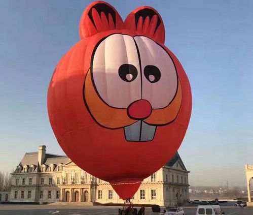 异型热气球定制8-12万小型